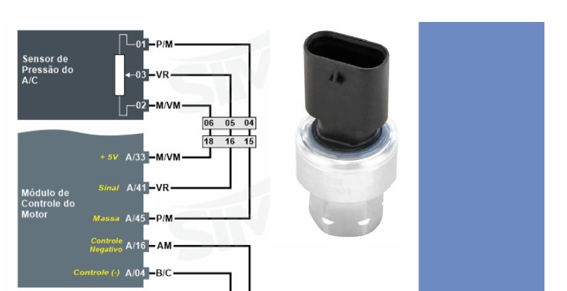 Imagem sem descrição